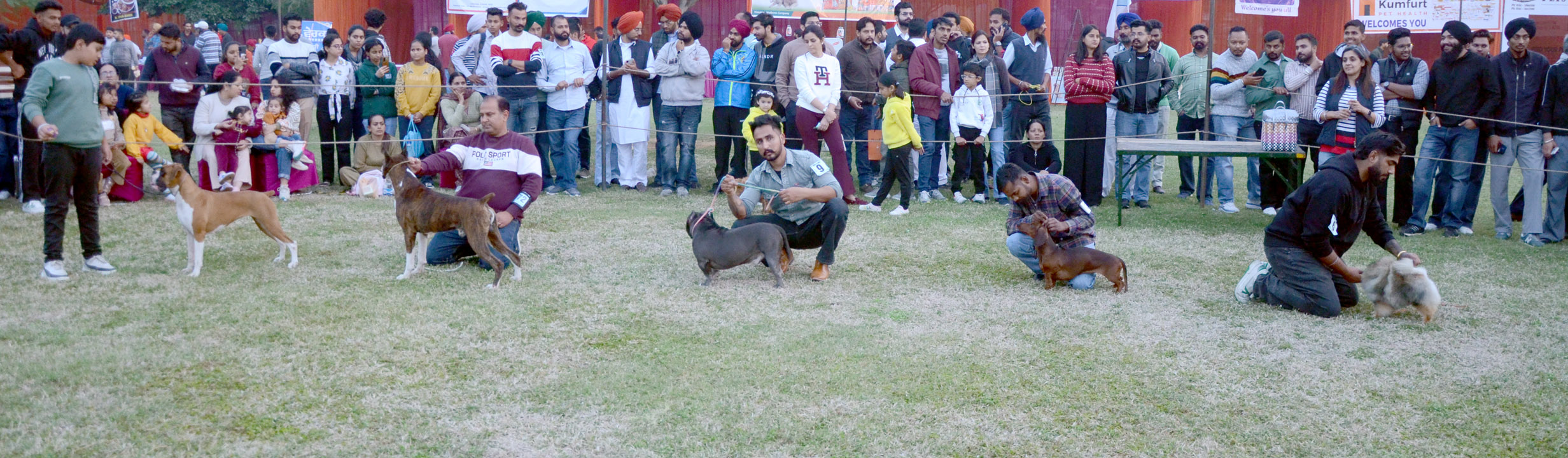 Vet Varsity to host Dog Show on 15 December 2024